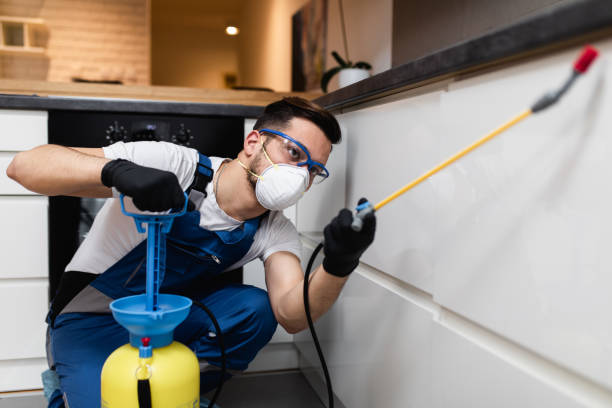Best Wasp Removal Services  in Middletown, PA