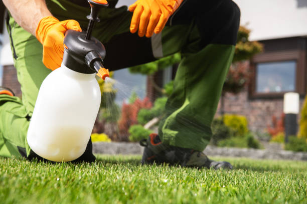 Best Pest Control for Homes  in Middletown, PA