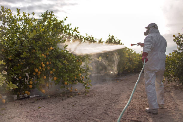 Best Pest Prevention Services  in Middletown, PA