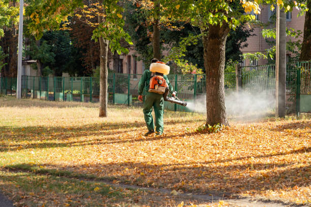 Best Pest Removal Services  in Middletown, PA