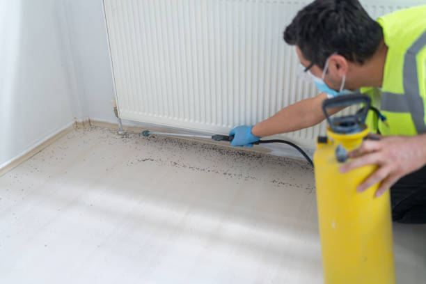 Pest Control for Restaurants in Middletown, PA